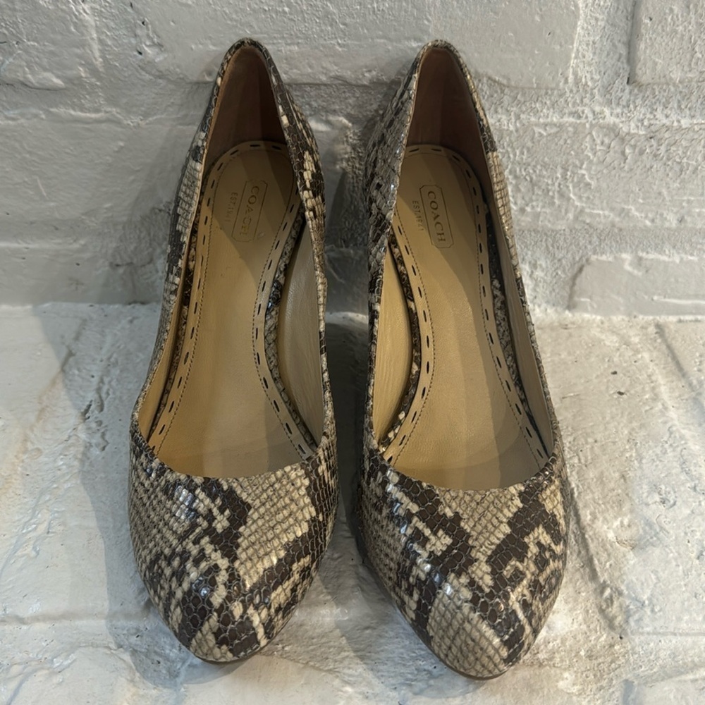 Coach Loise Snakeskin Wedge, 9B